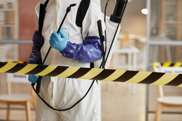 Professional Sewage Cleanup technician working in Lamar, AR